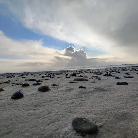 8 Person In Tatil Evi